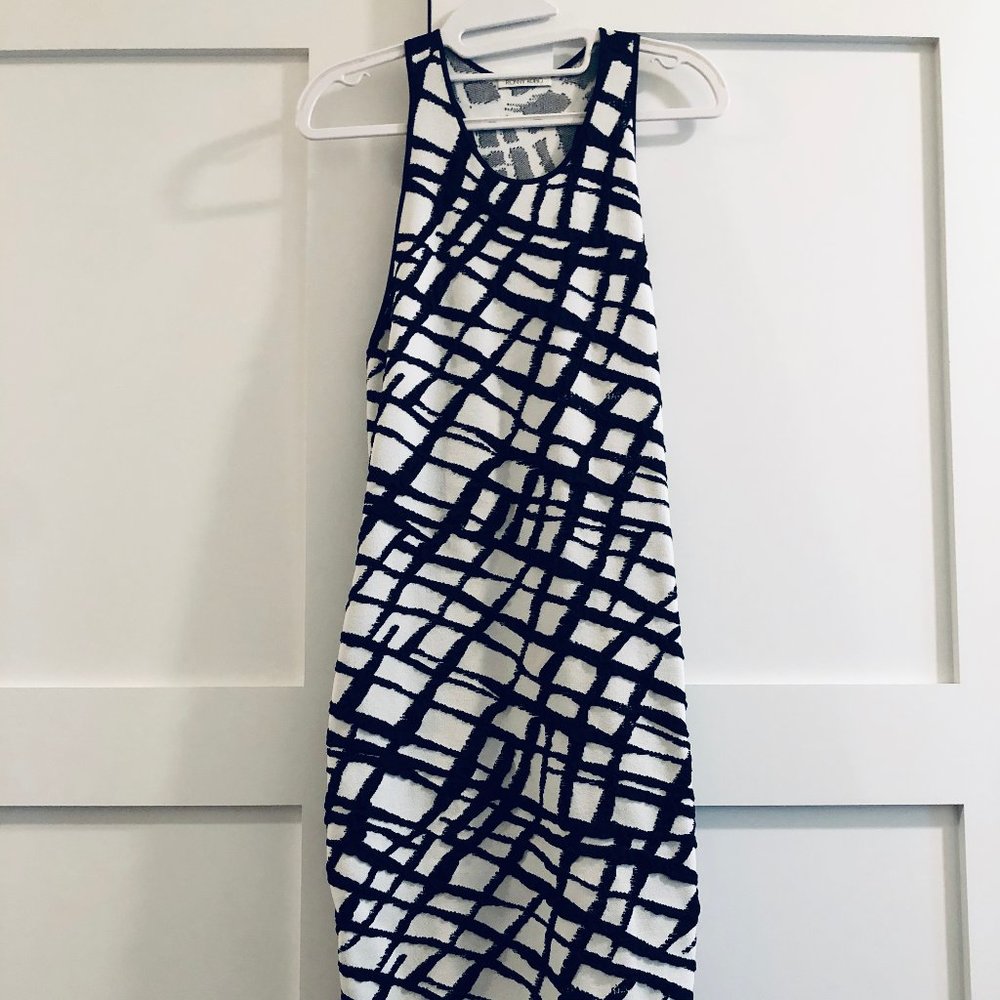 Ronny Kobo Fitted Print Dress